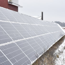 Euralainen broilerituottaja Tommi Katila investoi aurinkopaneeleihin neljä vuotta sitten. Maahan asennettujen paneelien puhdistaminen lumesta onnistuu käsityönä. 