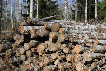 Lehtipuun laatu kärsii varastoinnista nopeammin kuin havupuun.