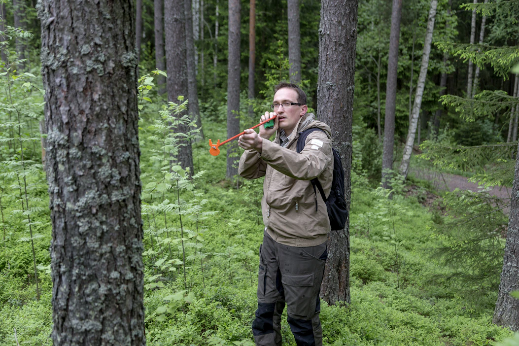 Metsävaratiedon inventoinnissa yhdistetään koealamittausta ja kaukokartoitusta. Kuvituskuva.