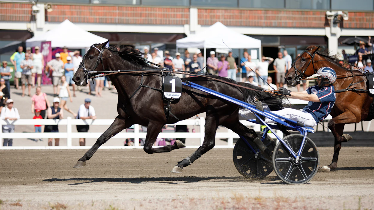 Run For Royalty johti viime vuoden välierää ja finaalia startista maaliin. Janne Korpi ohjasti.