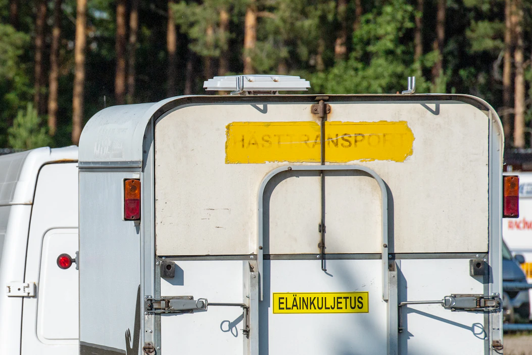 Poliisi havaitsi lukuisia puutteita hevoskuljetuksissa Loviisassa. Kuvituskuva.