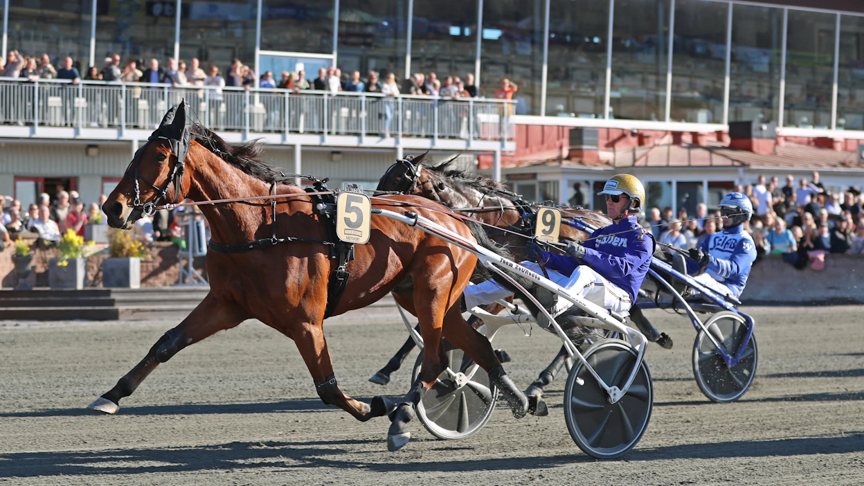 Björn Goopin ohjastama Born Unicorn piti Spickleback Facen helposti takanaan Rommen Paralympiatravet-karsinnassa.