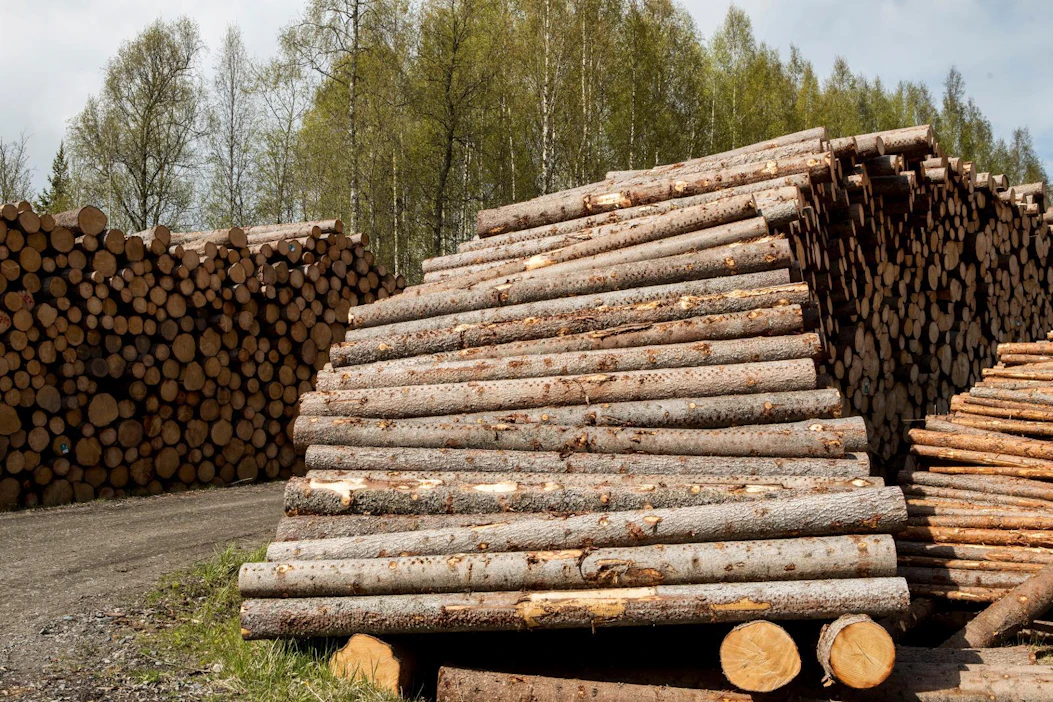 Metsähallituksella on aikaa valituslupahakemuksen jättämiseen 20. heinäkuuta asti.