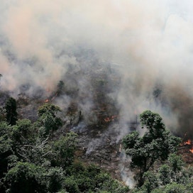 Metsäpaloista johtuvat hiilidioksidipäästöt Amazonilla ovat korkeimmat sitten vuoden 2010. Poliitikot ympäri maailman ovat ilmaisseet huolensa tilanteesta.