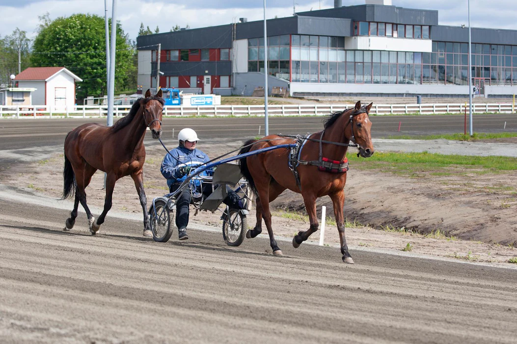 Ari Aatsinki valmentaa hevosiaan Tornion raviradalla. Aisoissa on Titane Nordique ja käsihevosena Kennet Sisu.