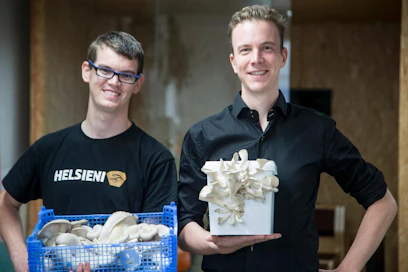 Stéphane Poirié ja Chris Holtslag rohkaisevat suomalaisia osterivinokkaiden viljelyyn. Helppoa ja maukasta!