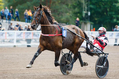 Hannu Korven Grainfield Aiden on tiukasti kiinni voitossa 75-rivin päätöskohteessa. Rattailla on tällä kertaa Esa Holopainen.
