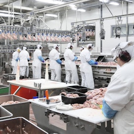 Nurmoon ensi vuonna valmistuvan 150 miljoonan euron investoinnin valmistuttua Atrian siipikarjanlihan tuotantokapasiteetti kasvaa noin 40 prosenttia.