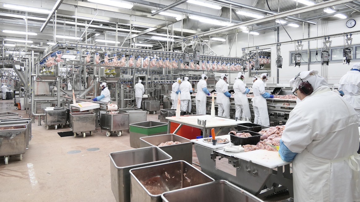 Atria kirjasi yrityskaupasta noin 2 miljoonan euron myyntivoiton. Kuvituskuva Atrian Nurmon siipikarjatehtaalta.