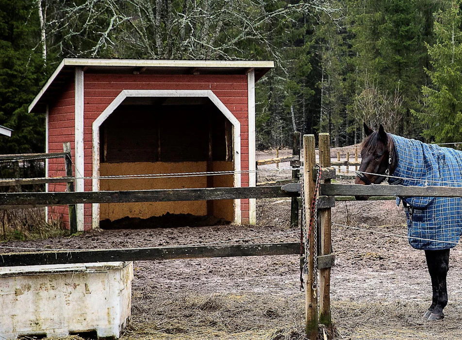 Talven tarhakauden jälkeen Katja Hautala kannustaa lääkitsemään hevoset, joiden lannasta löytyy tutkimuksessa madonmunia. Siten voidaan katkaista loisten leviäminen laitumilla. Myös tarhojen säännöllinen siivous on tärkeää.