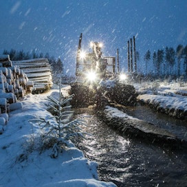 Vesi on lainehtinut tänä talvena monilla hakkuutyömailla. Kuva on otettu Paimiossa viime joulukuun alkupuolella.