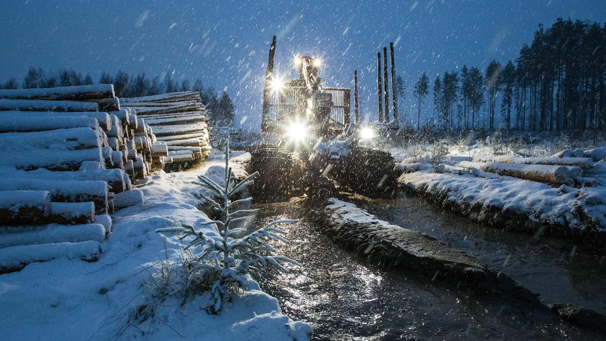 Vesi on lainehtinut tänä talvena monilla hakkuutyömailla. Kuva on otettu Paimiossa viime joulukuun alkupuolella.
