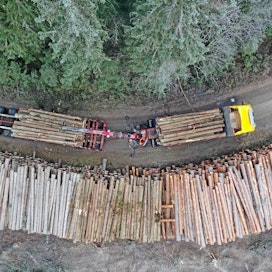 Esa Anttilan toiveissa olisi, että myös metsäteiden kunnosta pidettäisiin jatkuvaa huolta. Kun nykyiset puutavara-autot painavat täydessä kuormassa 76 tonnia ja pankkojen välissä on 60 kiintoa tukkipuuta, teiden on kestettävä.