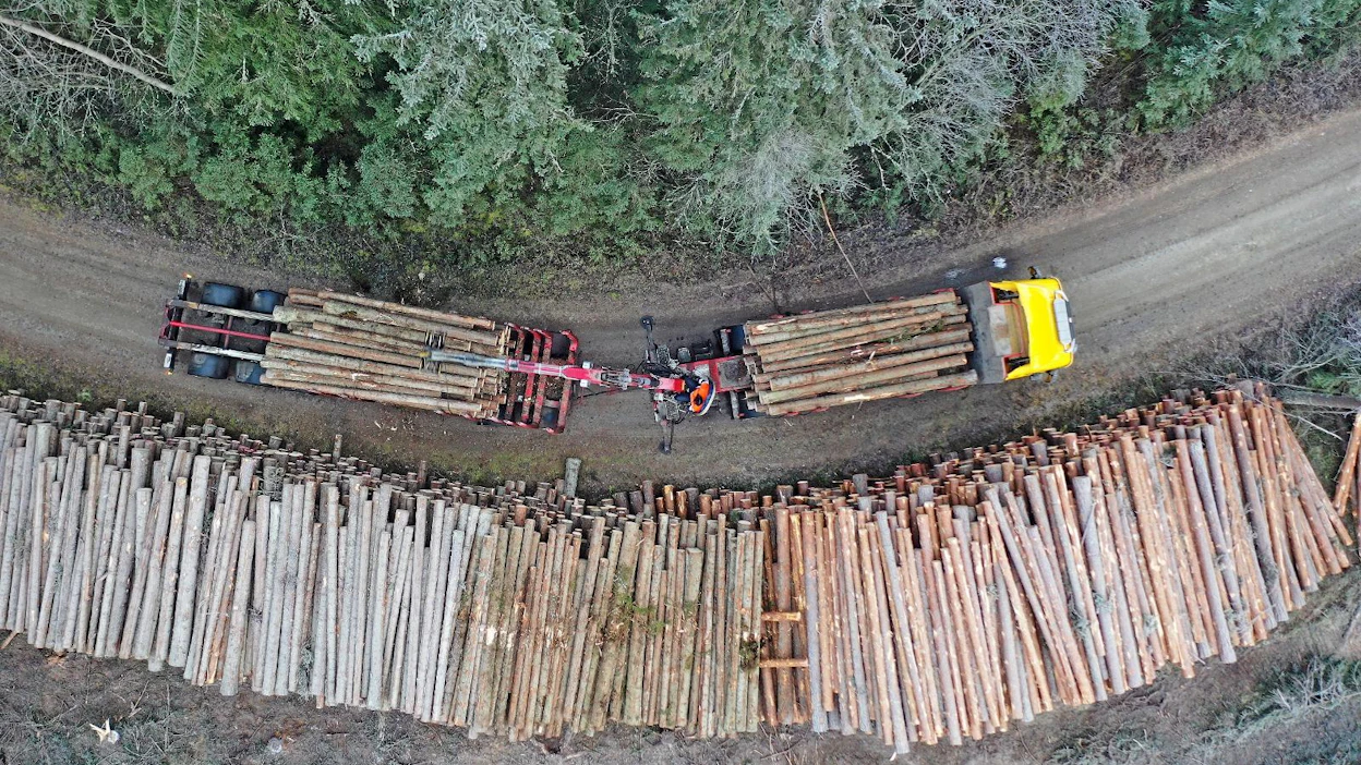 Esa Anttilan toiveissa olisi, että myös metsäteiden kunnosta pidettäisiin jatkuvaa huolta. Kun nykyiset puutavara-autot painavat täydessä kuormassa 76 tonnia ja pankkojen välissä on 60 kiintoa tukkipuuta, teiden on kestettävä.