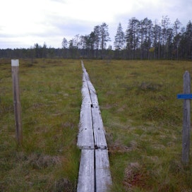 Aapasuo on yksi suotyyppi, joita on paljon etenkin Pohjois-Suomessa.