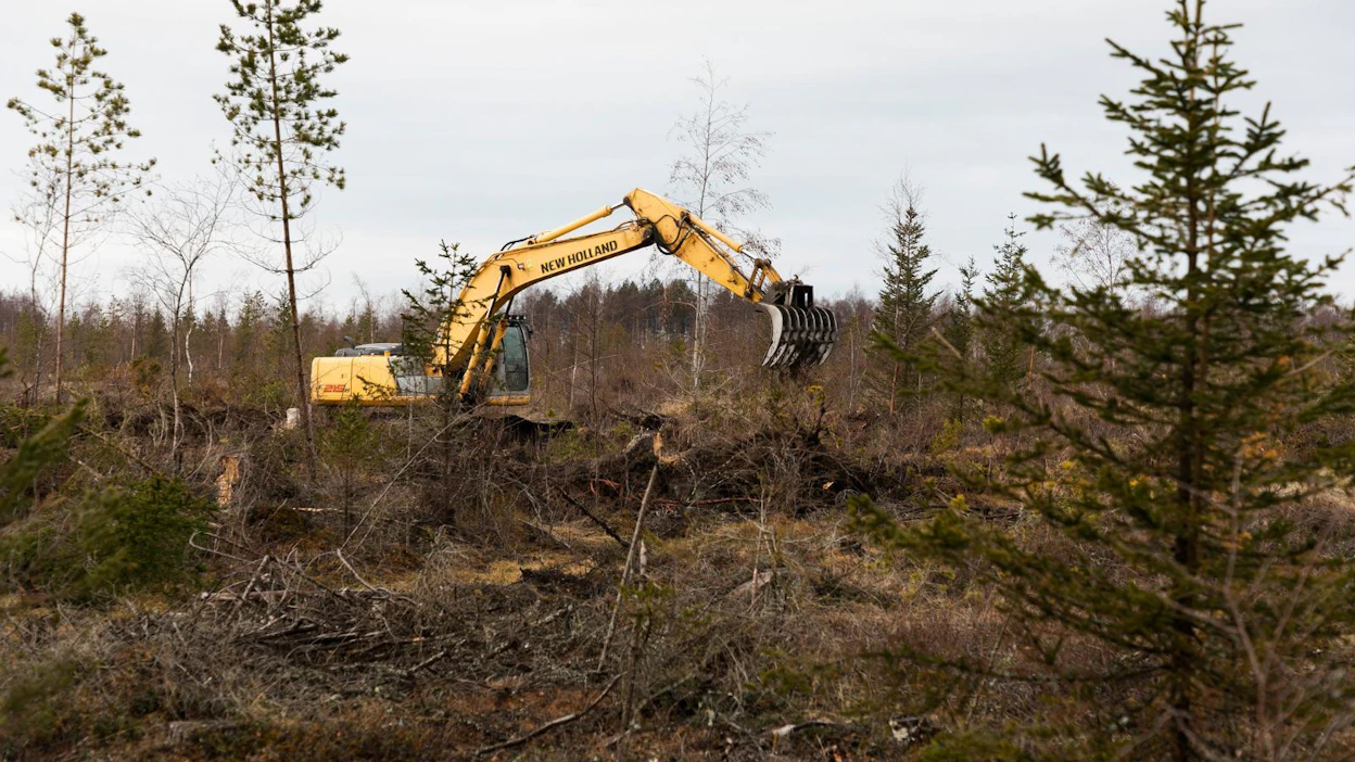 Pellon raivausta keväällä 2021.