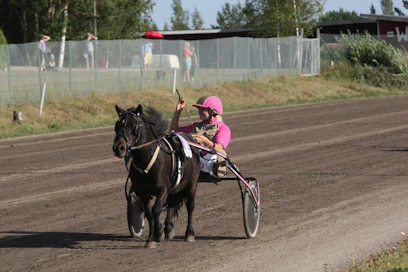Nina Hänninen saavutti ensimmäisenä suomalaisena ponikuskina 200 voiton rajan. Juhlavoiton toi uransa avannut kolmevuotias Lelun Rinssi. Kuva: Ville Toivonen