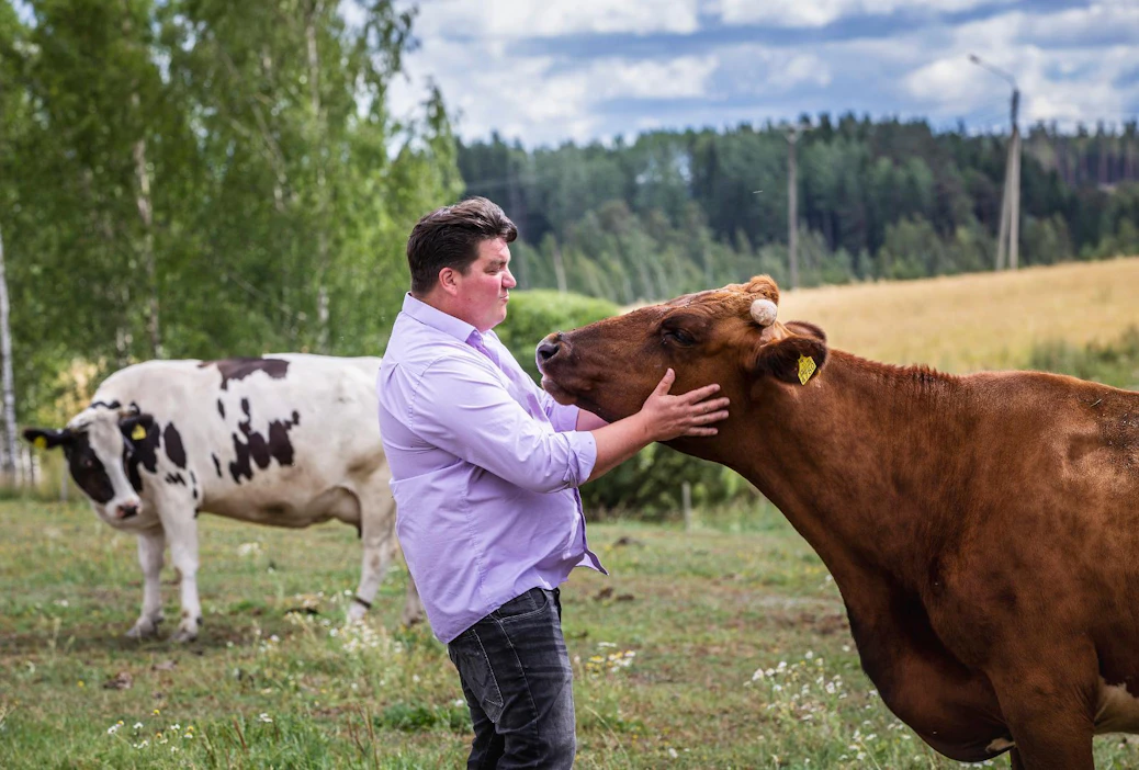 Eläinten kanssa työskentely on aina ollut Harri Penttilälle mieluisinta, koneet eivät häntä niin paljoa kiinnosta. Vesilahden Narvan kylässä sijaitseva maitotila on ollut luomussa vuodesta 1995 lähtien.