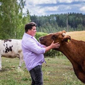 Eläinten kanssa työskentely on aina ollut Harri Penttilälle mieluisinta, koneet eivät häntä niin paljoa kiinnosta. Vesilahden Narvan kylässä sijaitseva maitotila on ollut luomussa vuodesta 1995 lähtien.