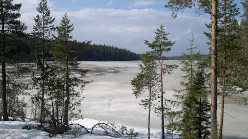 Järven hiilitaseen kannalta merkittävin aika osuu normaalina lumitalvena kevääseen lumen sulamisen aikaan.