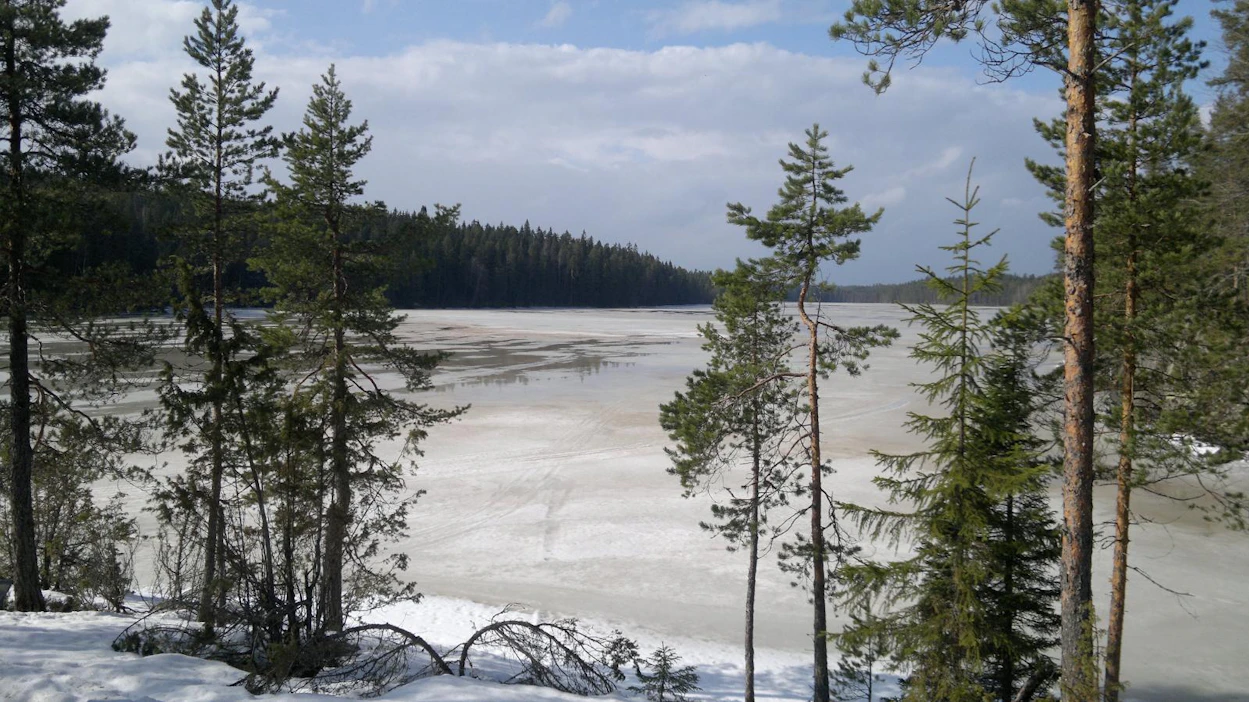 Järven hiilitaseen kannalta merkittävin aika osuu normaalina lumitalvena kevääseen lumen sulamisen aikaan.