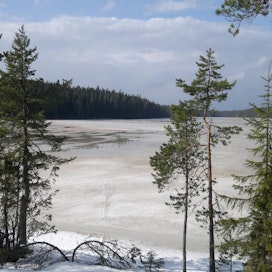 Järven hiilitaseen kannalta merkittävin aika osuu normaalina lumitalvena kevääseen lumen sulamisen aikaan.