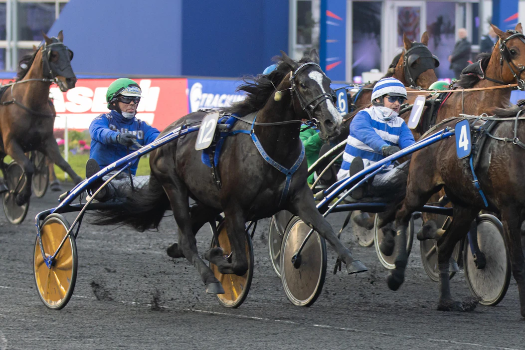 Prix d'Amerique -viikonloppu on toinen Euroopan suurista ravikilpailuista. Se käytiin sunnuntaina. Kuva vuoden 2020 kilpailupäivältä.