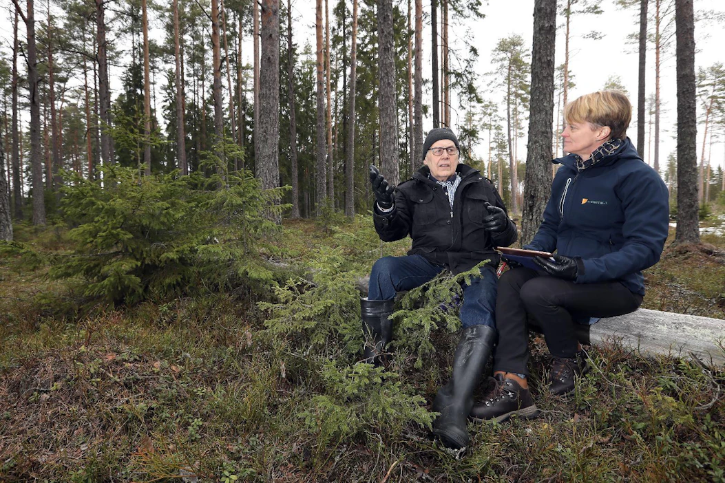 Heikki Nummijärvi luopui metsätilastaan kymmenien vuosien omistuksen jälkeen syksyllä 2017. Marita Säämäki avusti Nummijärven perhettä sukupolvenvaihdoksessa.