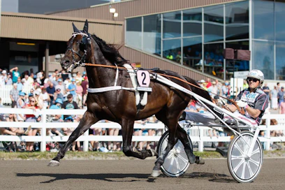 Kuvan Makethemark ja Ulf Ohlsson ovat jo mukana "Elitloppet-koneessa", mutta mitä muuta listalle kuuluisi? Petri Salmelan valmentama ori startannee seuraavaksi Copenhagen Cupissa sunnuntaina 17.5.
