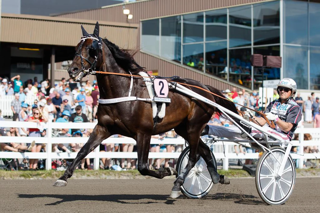 Kuvan Makethemark ja Ulf Ohlsson ovat jo mukana "Elitloppet-koneessa", mutta mitä muuta listalle kuuluisi? Petri Salmelan valmentama ori startannee seuraavaksi Copenhagen Cupissa sunnuntaina 17.5.