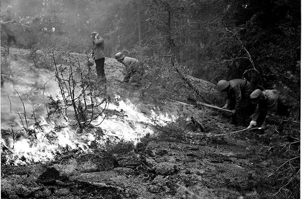 Jatkosodan SA-kuvaajat ikuistivat myös lukuisia metsäpaloja. Kuva on heinäkuulta 1941.
