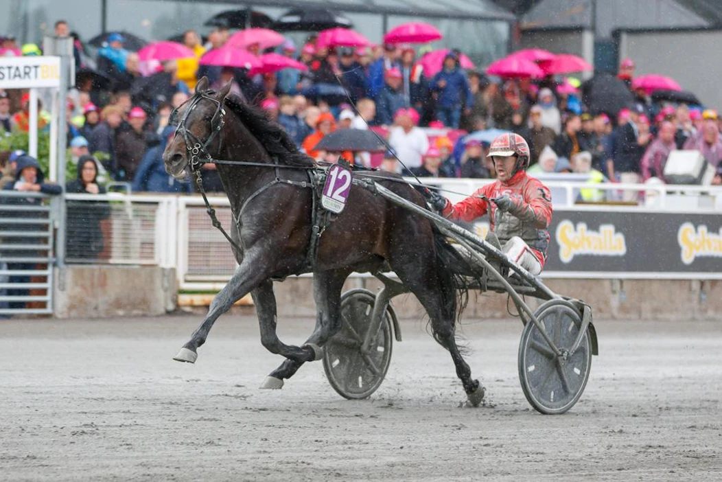 Johan Untersteiner ohjasti Aetos Kronoksen Kungapokalenin voittoon Åbyssä. Keli oli parempi kuin vuosi sitten Solvallassa, kun valjakko voitti Breeders Coursen.