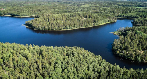 "Vaikka kampanja kertoo perustuvansa faktoihin, osoittavat tutkimukset kuitenkin selvästi, että suomalainen metsätalous ei ole ympäristön kannalta kestävää", sanoo vihreiden kansanedustaja Jenni Pitko.