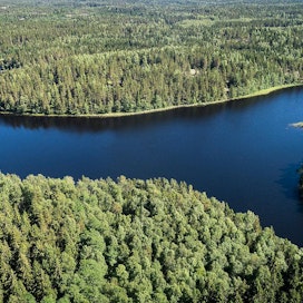 &quot;Vaikka kampanja kertoo perustuvansa faktoihin, osoittavat tutkimukset kuitenkin selvästi, että suomalainen metsätalous ei ole ympäristön kannalta kestävää&quot;, sanoo vihreiden kansanedustaja Jenni Pitko.
