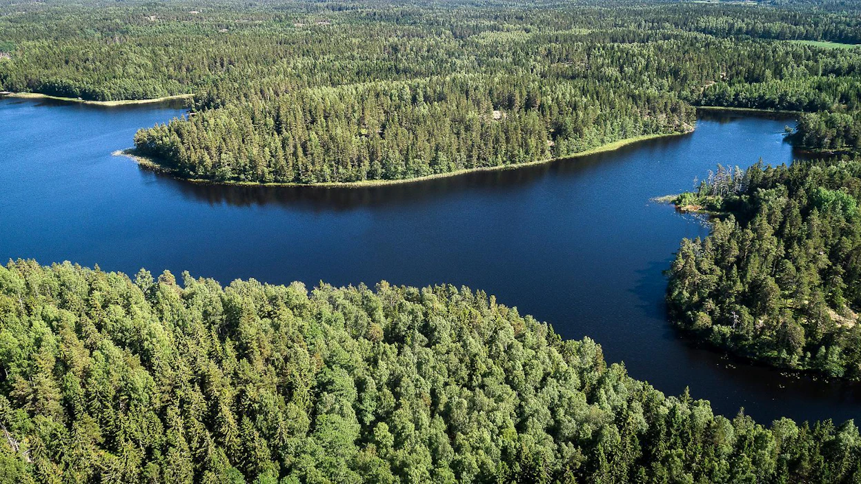 "Vaikka kampanja kertoo perustuvansa faktoihin, osoittavat tutkimukset kuitenkin selvästi, että suomalainen metsätalous ei ole ympäristön kannalta kestävää", sanoo vihreiden kansanedustaja Jenni Pitko.