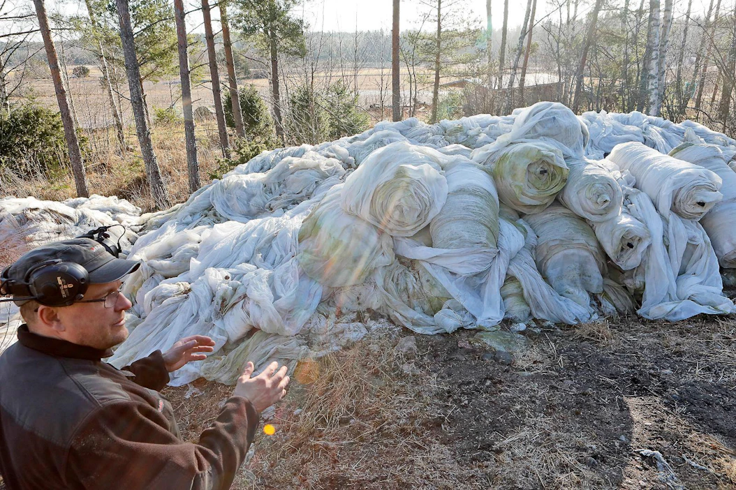 Iso harsokasa odotti keväällä poiskuljetusta Houtskarissa. Peurojen takia harsot kestävät enää puolet siitä mitä ennen, harmittelee varhaisperunaa viljelevä Stefan Karlgren.