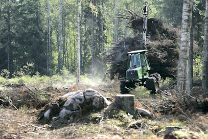 EU:n talouskomitea tutustuu suomalaiseen puuenergian käyttöön. Kuljettaja Matti Kivinen korjaa hakkuujätettä Metsäliiton työmaalla.
energiapuu, bioenergia, uusiutuva energia, hakkuujäte