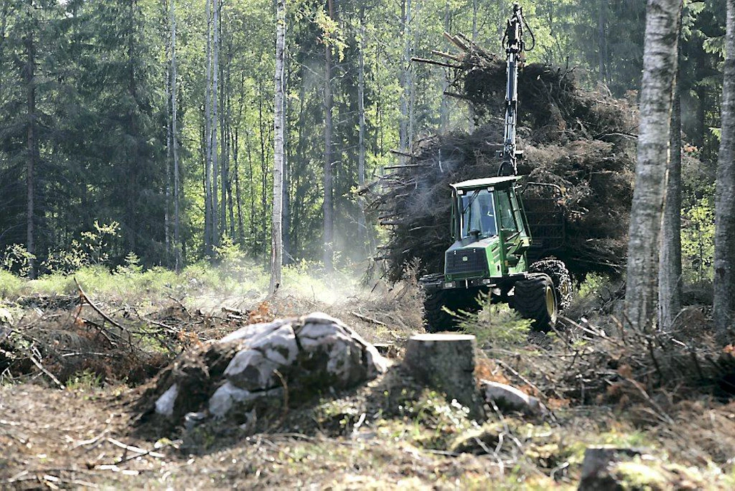 EU:n talouskomitea tutustuu suomalaiseen puuenergian käyttöön. Kuljettaja Matti Kivinen korjaa hakkuujätettä Metsäliiton työmaalla.
energiapuu, bioenergia, uusiutuva energia, hakkuujäte