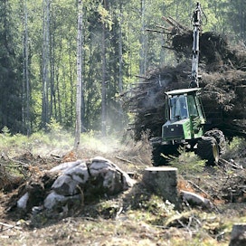 EU:n talouskomitea tutustuu suomalaiseen puuenergian käyttöön. Kuljettaja Matti Kivinen korjaa hakkuujätettä Metsäliiton työmaalla.
energiapuu, bioenergia, uusiutuva energia, hakkuujäte