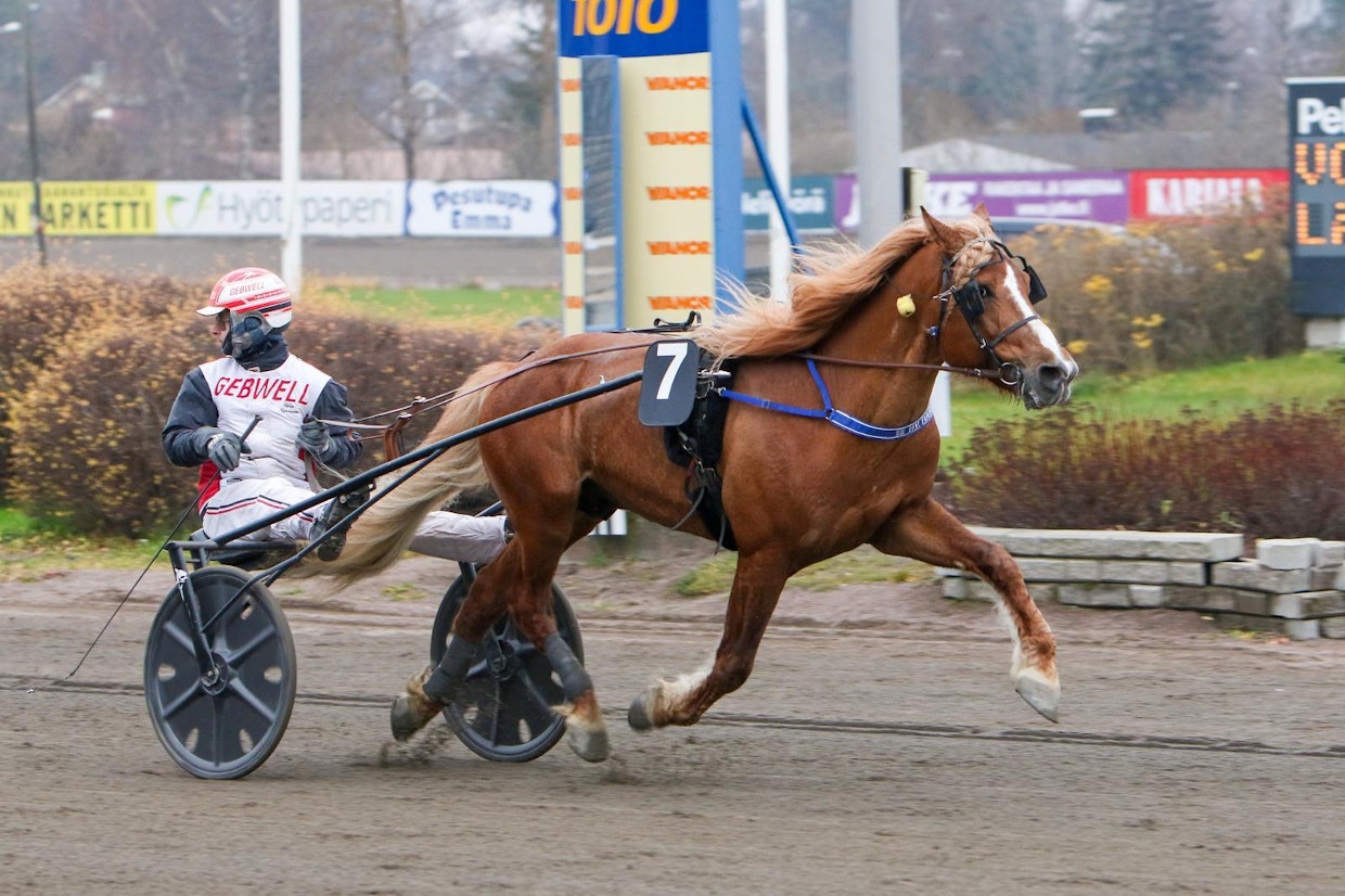 H.V. Tuurin voitto oli niin helppo, että Iikka Nurmonen saattoi katsastaa, miten kauas muut jäivät.