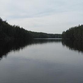 Soutuveneillä voi esimerkiksi tutustua Suonenjoen luontoon. Kuvituskuva.