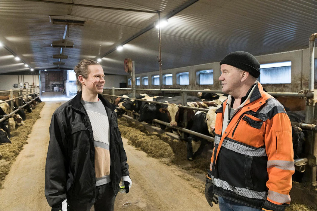Arttu (vasemmalla) ja Juho Oikarisen teettämät laskelmat osoittivat, että heidän tilalleen osakeyhtiö oli huomattavasti parempi ratkaisu kuin yhtymä.