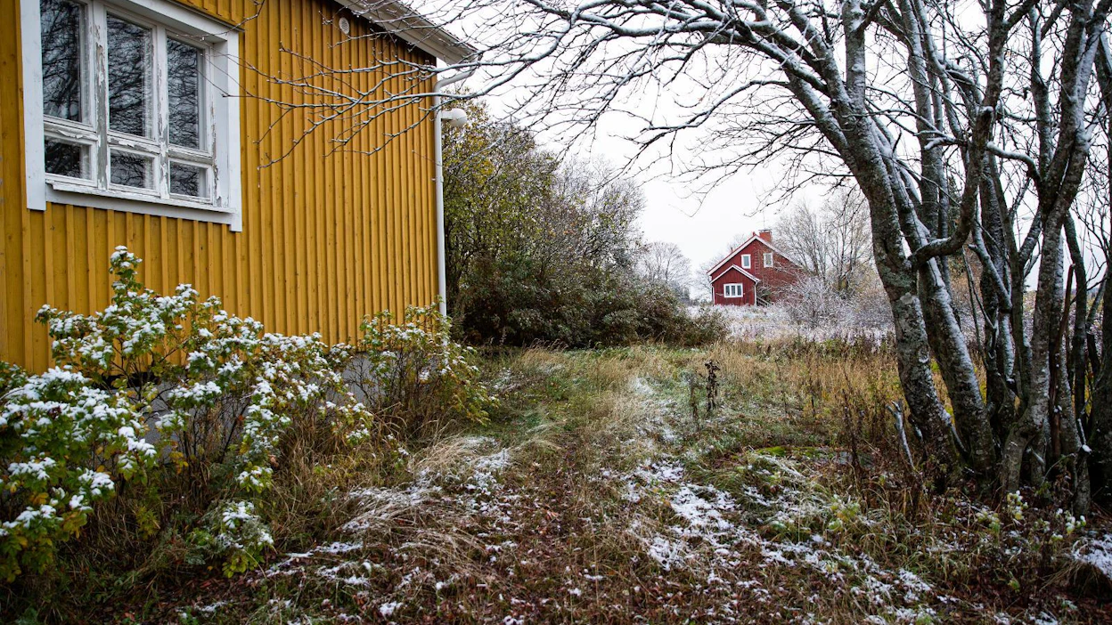 Alatien asuinrakennukset ovat päässeet heikkoon kuntoon ja niiden purkamista selvitetään. Hevosopiston alueelta löytyy kuitenkin myös useita puutaloja, joita kaavaillaan myyntiin.