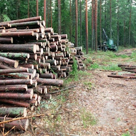 Ruotsissa EU:n vaatimukset metsätietojen julkisuudesta johtivat konkreettisiin muutoksiin, kun hakkuuilmoitukset muutettiin julkisiksi.