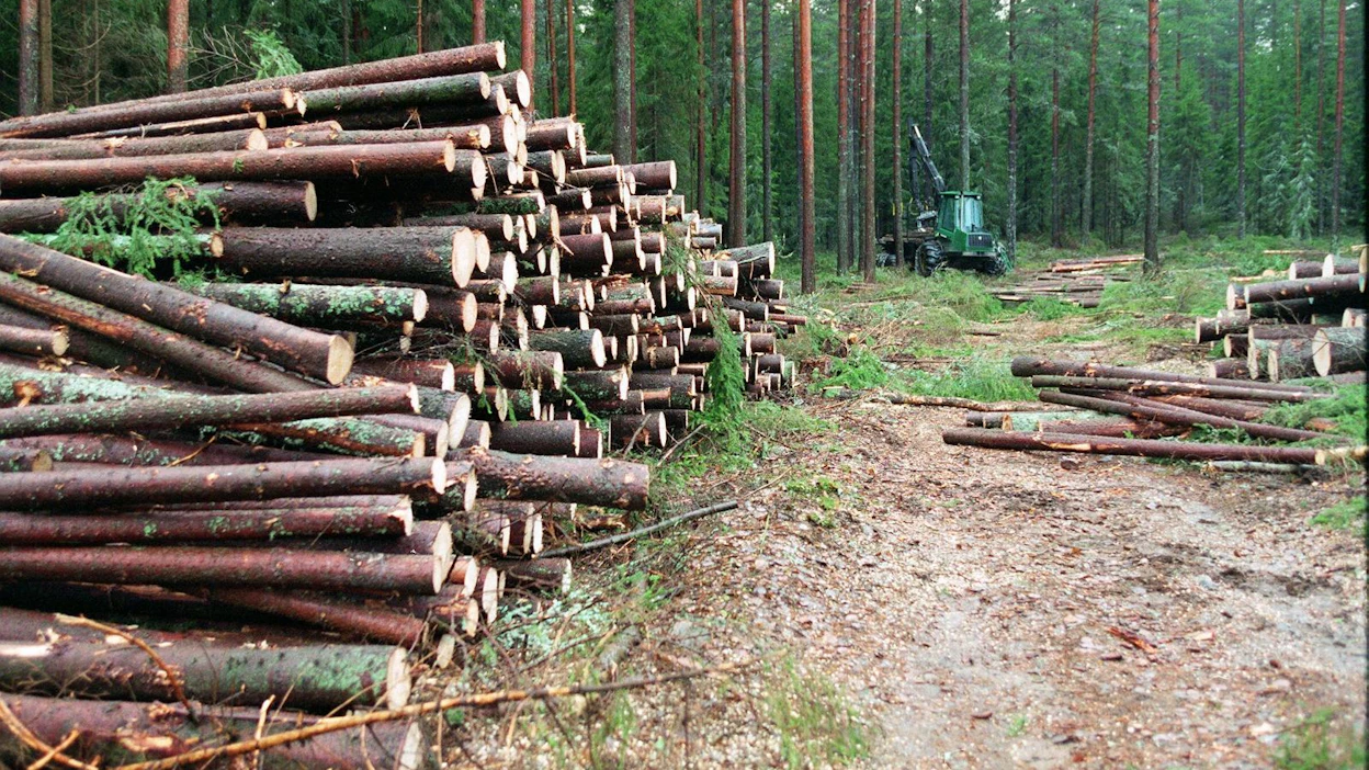 Ruotsissa EU:n vaatimukset metsätietojen julkisuudesta johtivat konkreettisiin muutoksiin, kun hakkuuilmoitukset muutettiin julkisiksi.