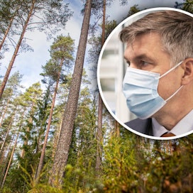 MTK:n puheenjohtaja Juha Marttila vaatii hallitusta jämäköitymään EU:n metsäpolitiikkaan vaikuttamisessa.