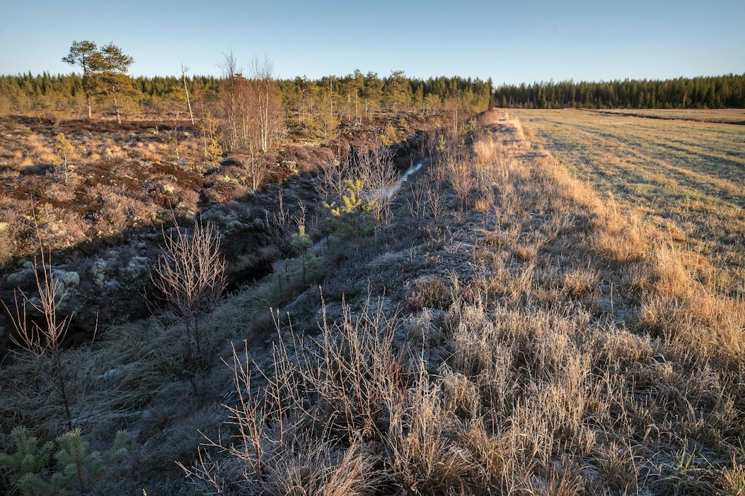 Turvepellot ovat ilmastokeskustelun suurin kiistakapula.