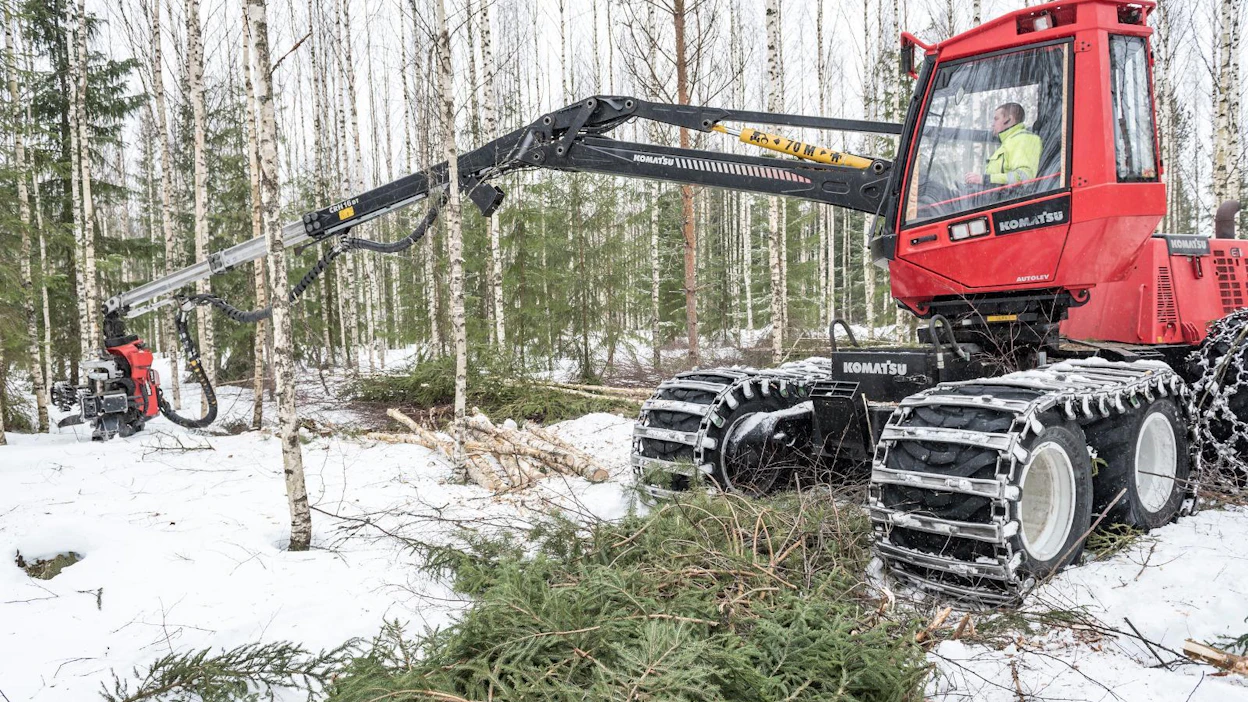 Mäntykuitupuun keskihinta pysyttelee tänä vuonna viime vuoden lukemissa, mutta kuusi- ja koivukuitupuun hinnat laskevat hieman, PTT ennustaa.