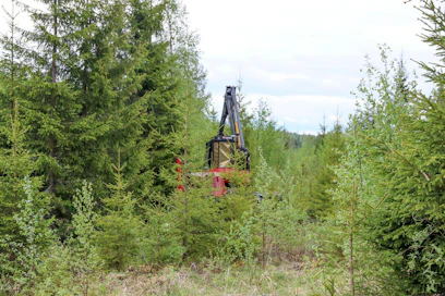 Koneellista taimikonhoitoa on yritetty tuoda Suomenkin metsiin jo pitkään. Silti sen edut ovat jääneet manuaalisen työn kustannusetujen jalkoihin. Tulevaisuudessa tilanne voi muuttua, kun koneella suoritettavaan työskentelyyn voidaan lisätä muutakin toimintaa, kuten lannoitusta ja kantojenkäsittelyä – lehtipuiden kantojen lahottamiseen ja havupuukantojen lahottajien leviämisen estämiseen.