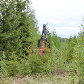 Koneellista taimikonhoitoa on yritetty tuoda Suomenkin metsiin jo pitkään. Silti sen edut ovat jääneet manuaalisen työn kustannusetujen jalkoihin. Tulevaisuudessa tilanne voi muuttua, kun koneella suoritettavaan työskentelyyn voidaan lisätä muutakin toimintaa, kuten lannoitusta ja kantojenkäsittelyä – lehtipuiden kantojen lahottamiseen ja havupuukantojen lahottajien leviämisen estämiseen.